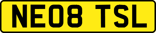 NE08TSL