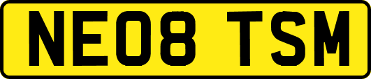 NE08TSM