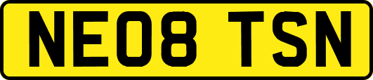 NE08TSN