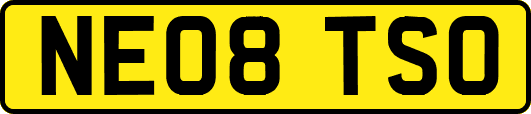 NE08TSO