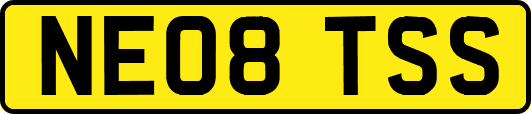 NE08TSS