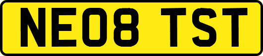 NE08TST
