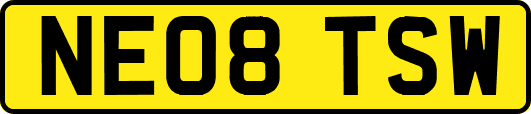 NE08TSW