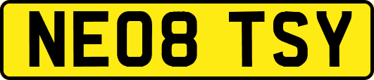 NE08TSY