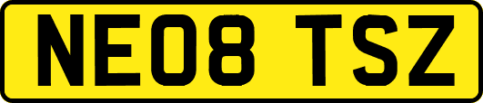 NE08TSZ