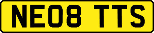 NE08TTS