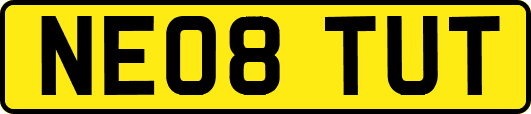 NE08TUT