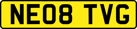 NE08TVG