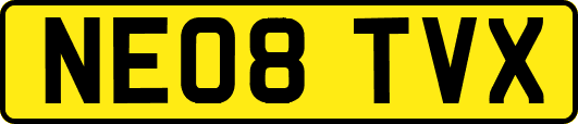 NE08TVX