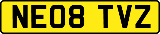 NE08TVZ