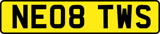 NE08TWS