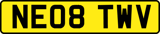 NE08TWV