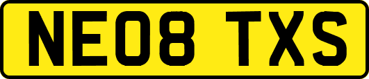 NE08TXS