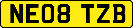 NE08TZB