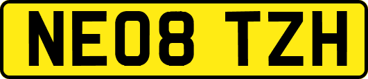 NE08TZH