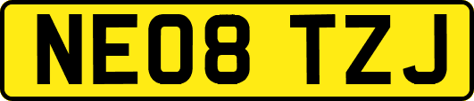 NE08TZJ