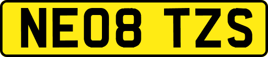 NE08TZS