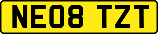 NE08TZT