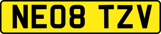 NE08TZV