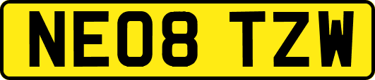NE08TZW