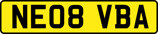 NE08VBA