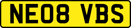 NE08VBS