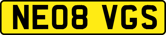 NE08VGS
