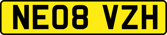 NE08VZH