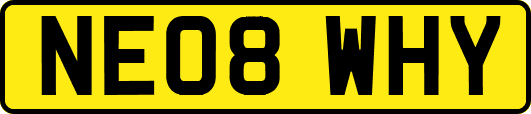 NE08WHY