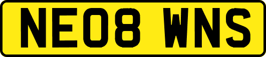 NE08WNS