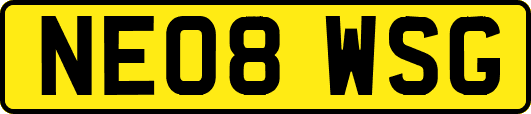 NE08WSG