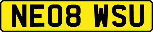 NE08WSU