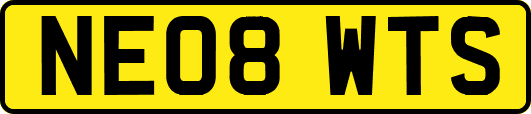 NE08WTS