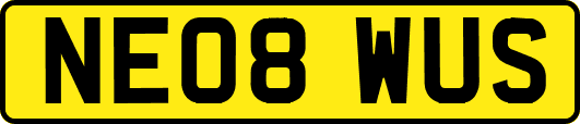 NE08WUS