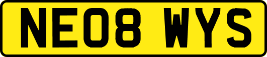 NE08WYS