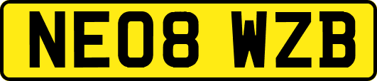 NE08WZB