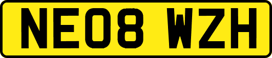 NE08WZH