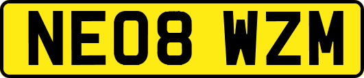 NE08WZM