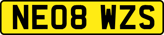 NE08WZS