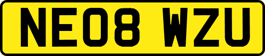 NE08WZU