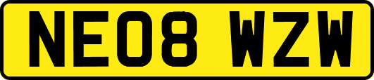 NE08WZW