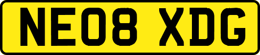 NE08XDG