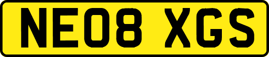 NE08XGS