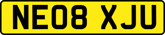 NE08XJU