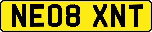NE08XNT