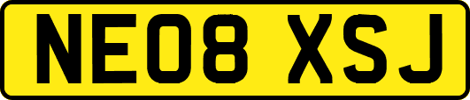 NE08XSJ