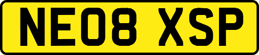 NE08XSP