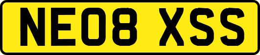 NE08XSS