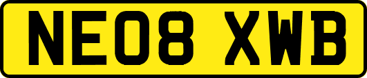 NE08XWB