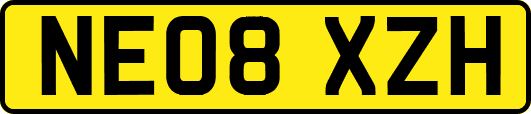 NE08XZH